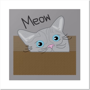 Kitty cat saying meow Posters and Art